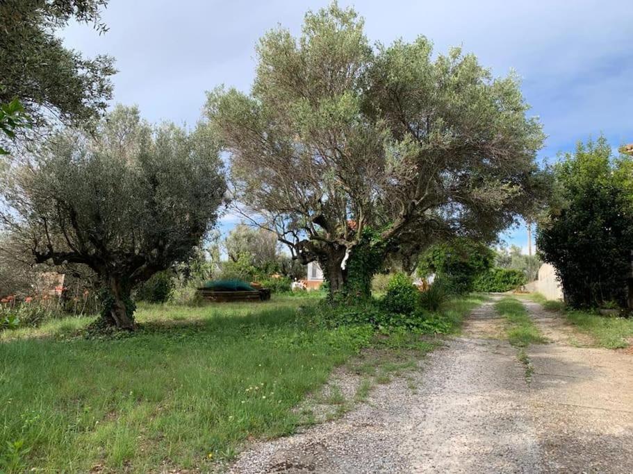 Casa Cal Duc, La Garriga Villa Dış mekan fotoğraf